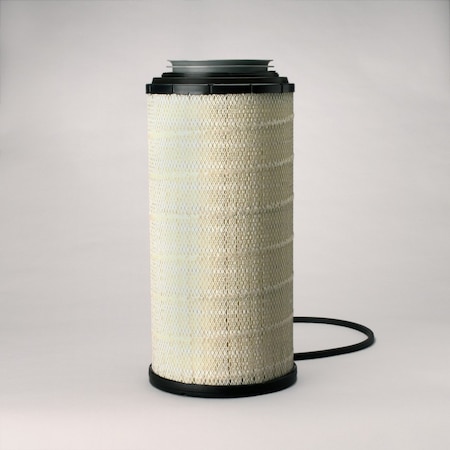 Donaldson Air Filter, P625287 P625287